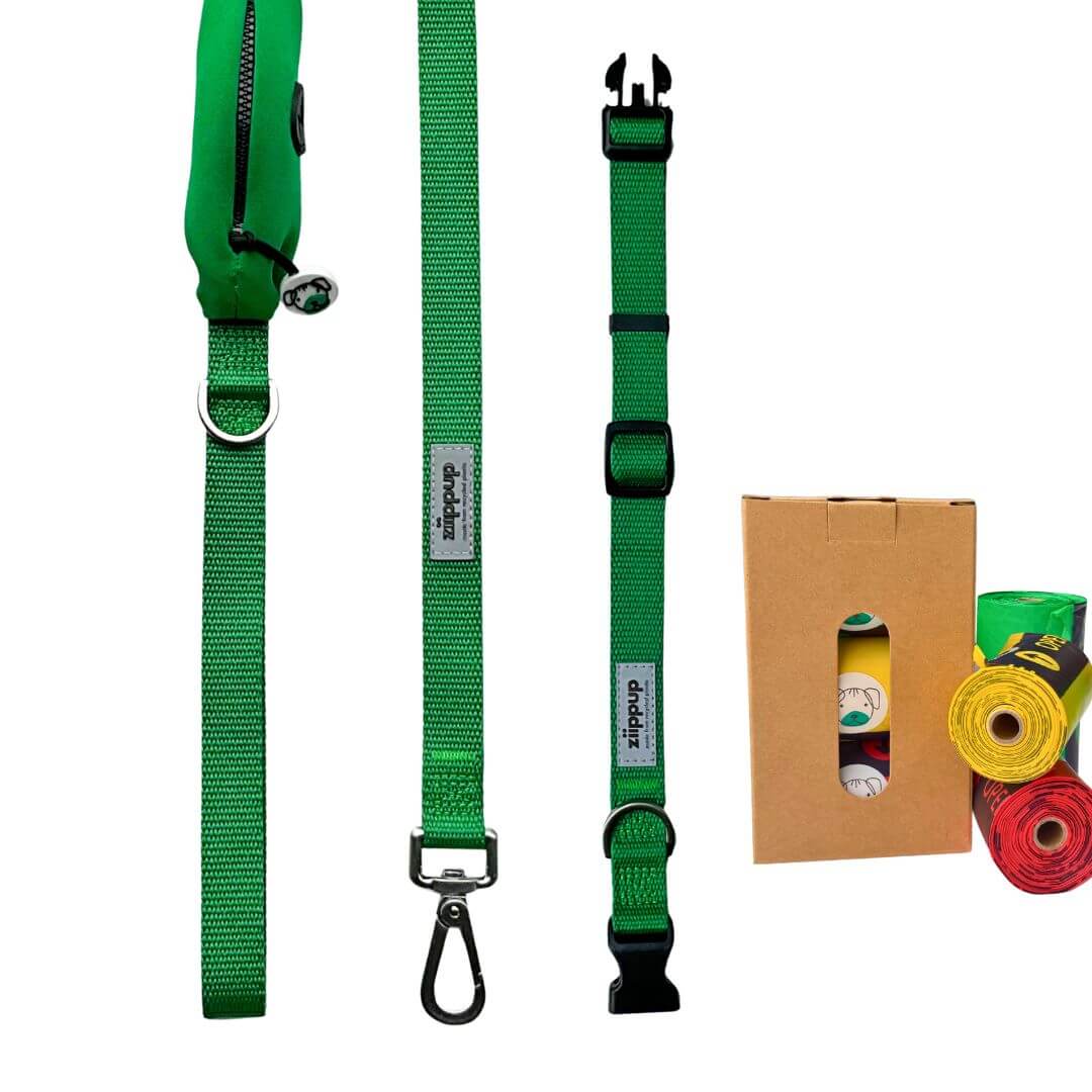 Green dog collar and leash set with compostable poo bags