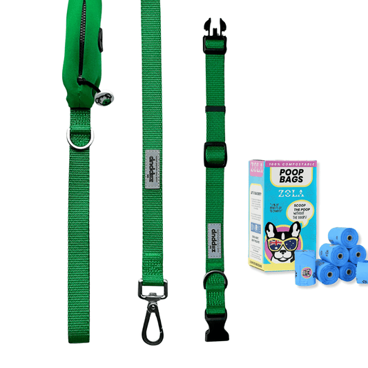 Dog walking essentials in green - collar, lead, poo bags.