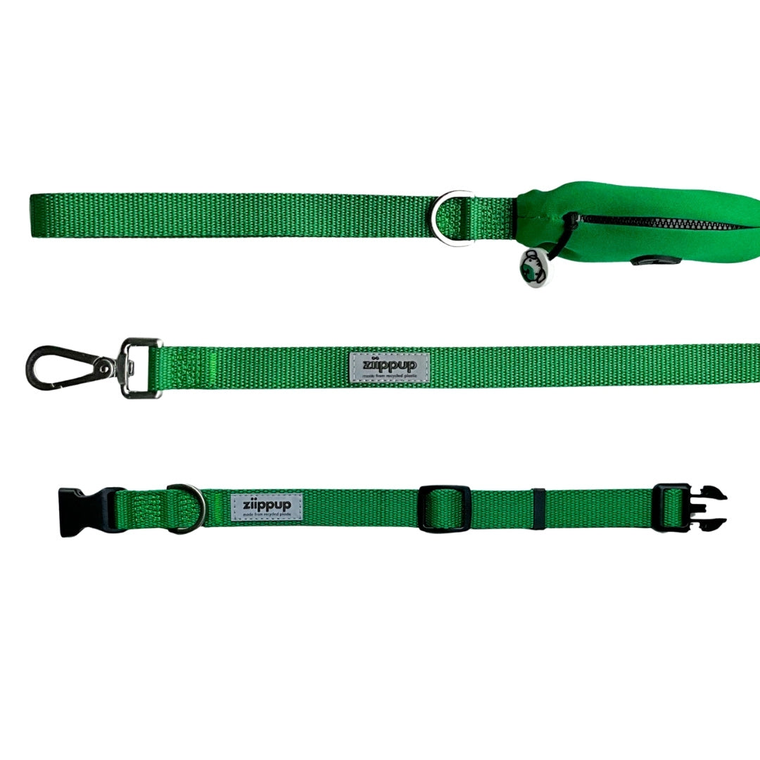 Green dog collar and leash set