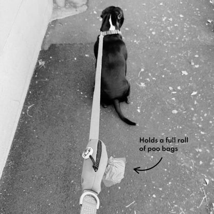 Red Collar & Lead Set