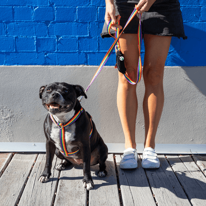 Woman holding a dog wearing back clip rainbow harness and matching lead with pocket