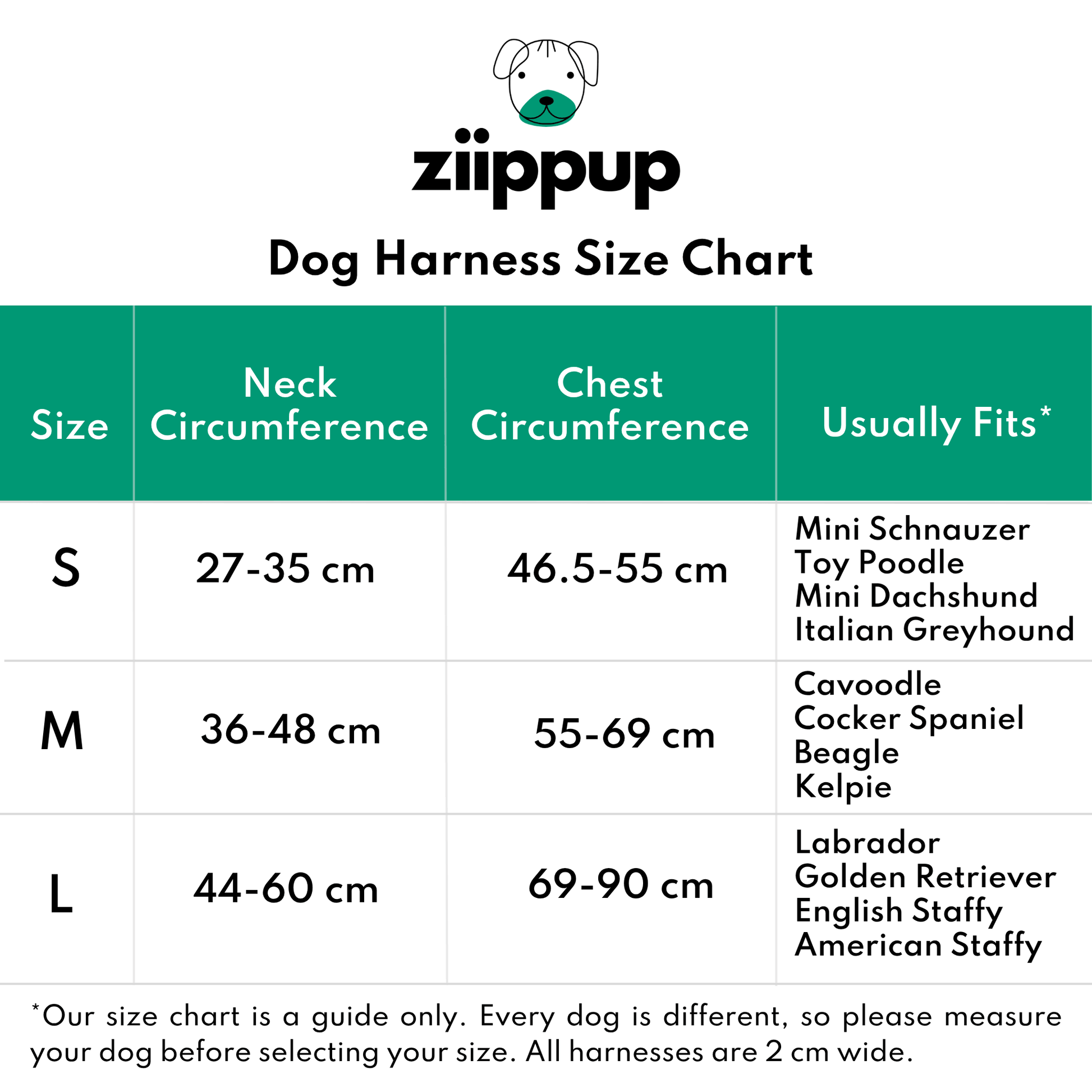 Ziippup dog harness size chart with neck and chest circumference measurements.
