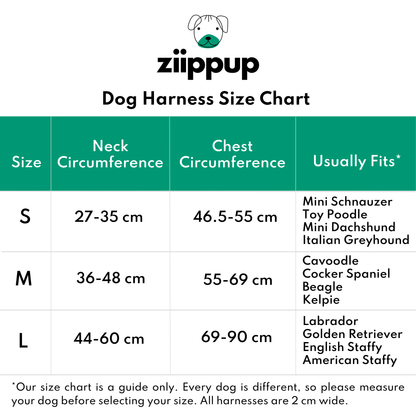 Ziippup dog harness size chart with neck and chest circumference measurements.