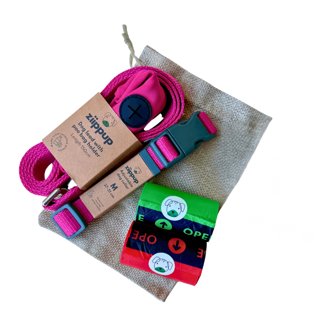 Pink Dog Gift Pack