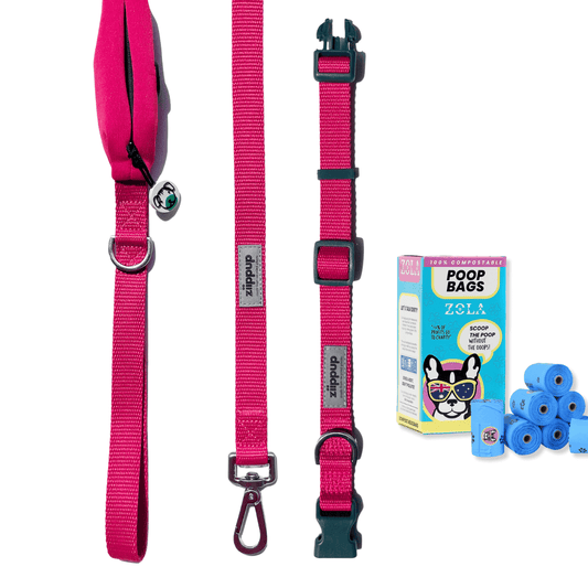 Dog walking essentials in pink - collar, lead, poo bags.