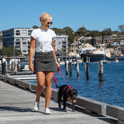 Woman walking black dog in pink back clip dog harness and matching leash