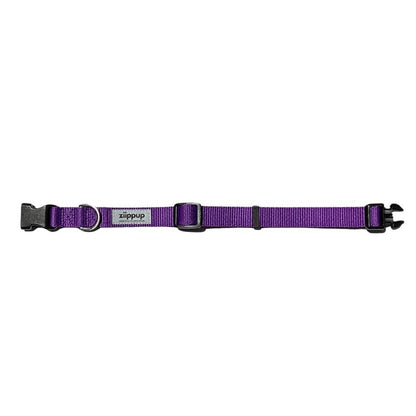 Purple collar for dogs