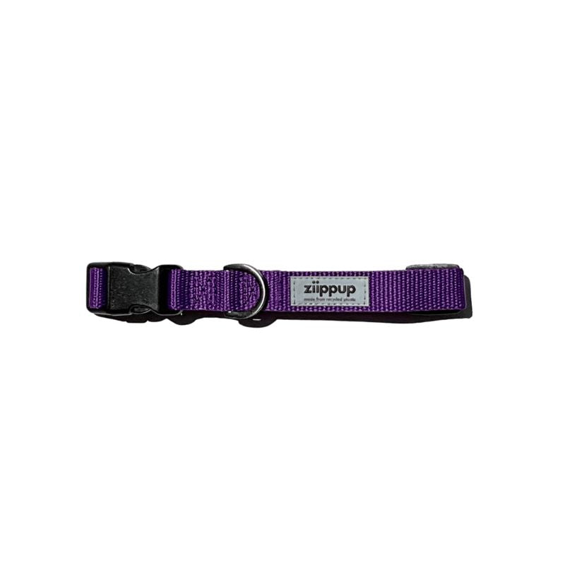 Purple dog collar with reflective tag