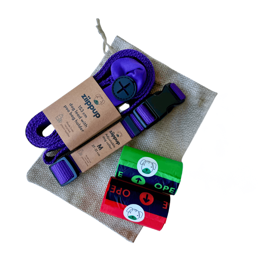 Purple Dog Gift Pack