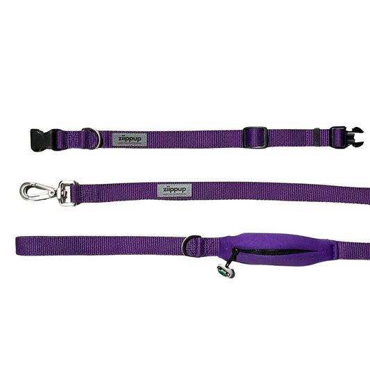 Purple dog lead and collar set