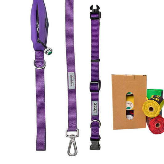 Purple dog collar and leash set with compostable poo bags
