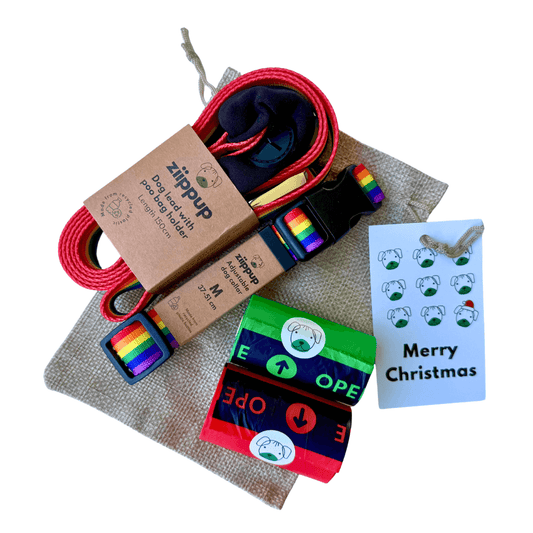 Rainbow Christmas Gift Pack