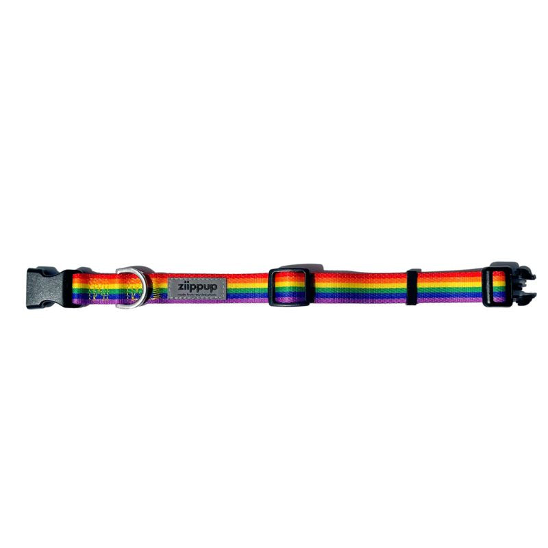 Quick release rainbow dog collar