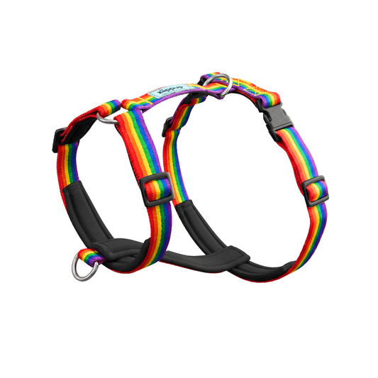 Rainbow no pull dog harness