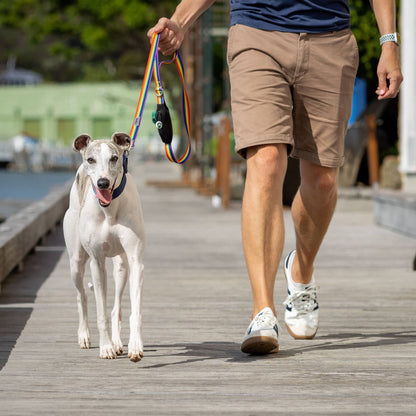 Man walking dog with rainbow dog lead and poop bag holder