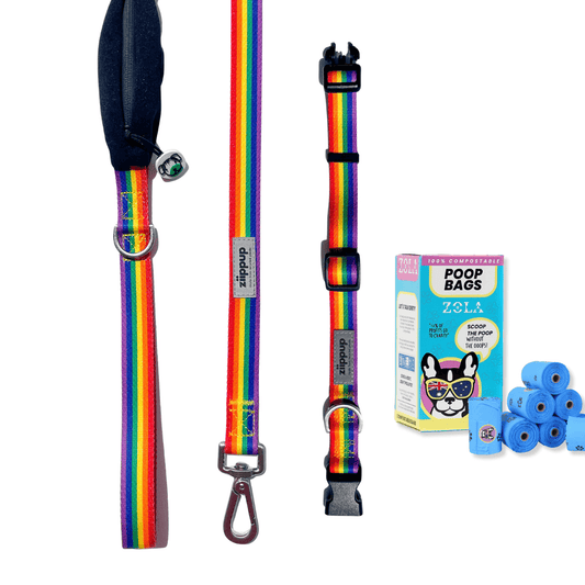 Rainbow dog leash with poop bag holder, matching dog collar with box of poo bags on a white background
