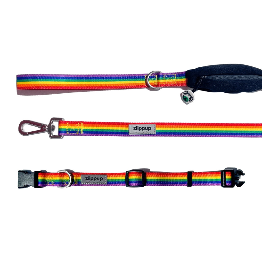 Rainbow leash and collar set for dogs and puppies