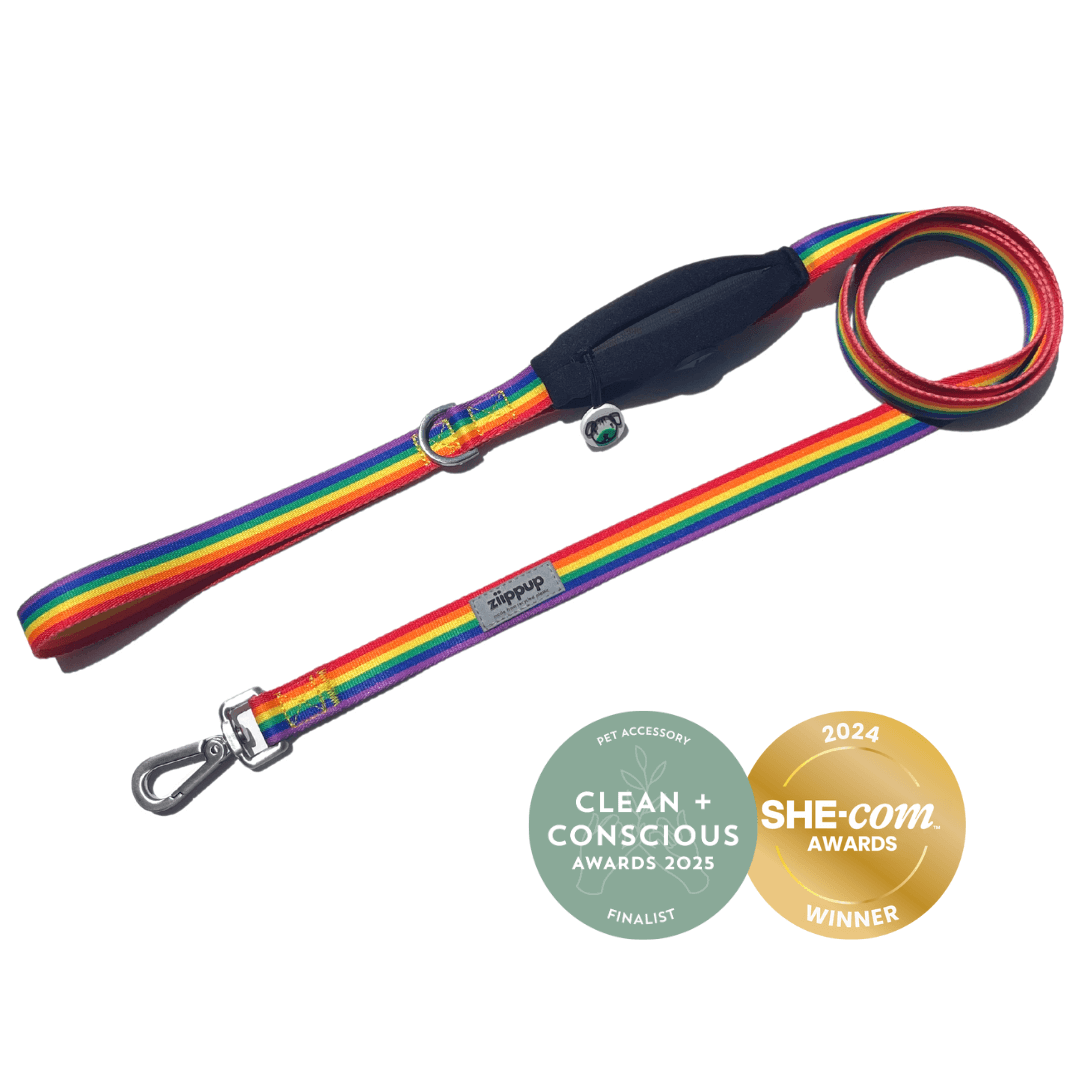 Award-winning rainbow leash for dogs