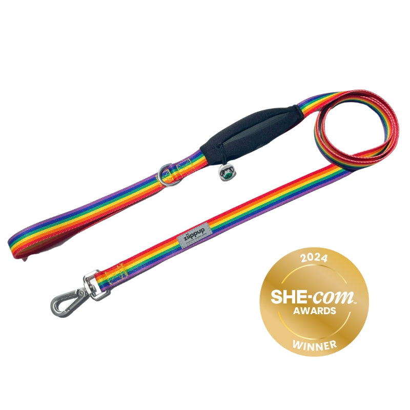 Rainbow leash for dogs with poop bag holder