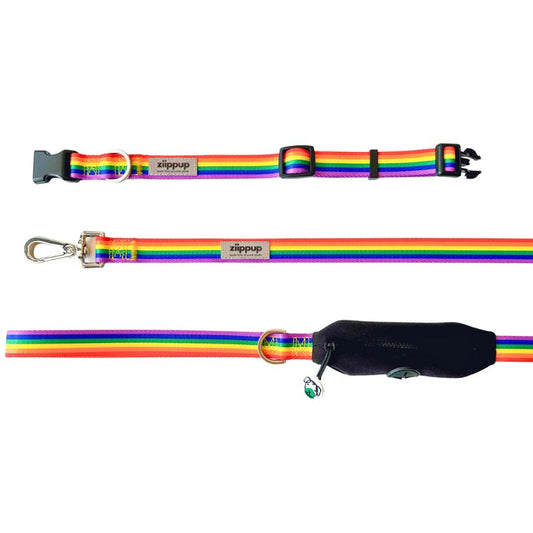 Matching rainbow dog collar and leash set with poop bag holder