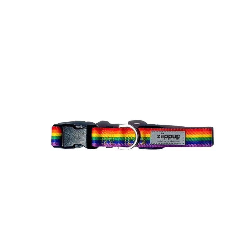 Rainbow collar for dogs with reflective tag