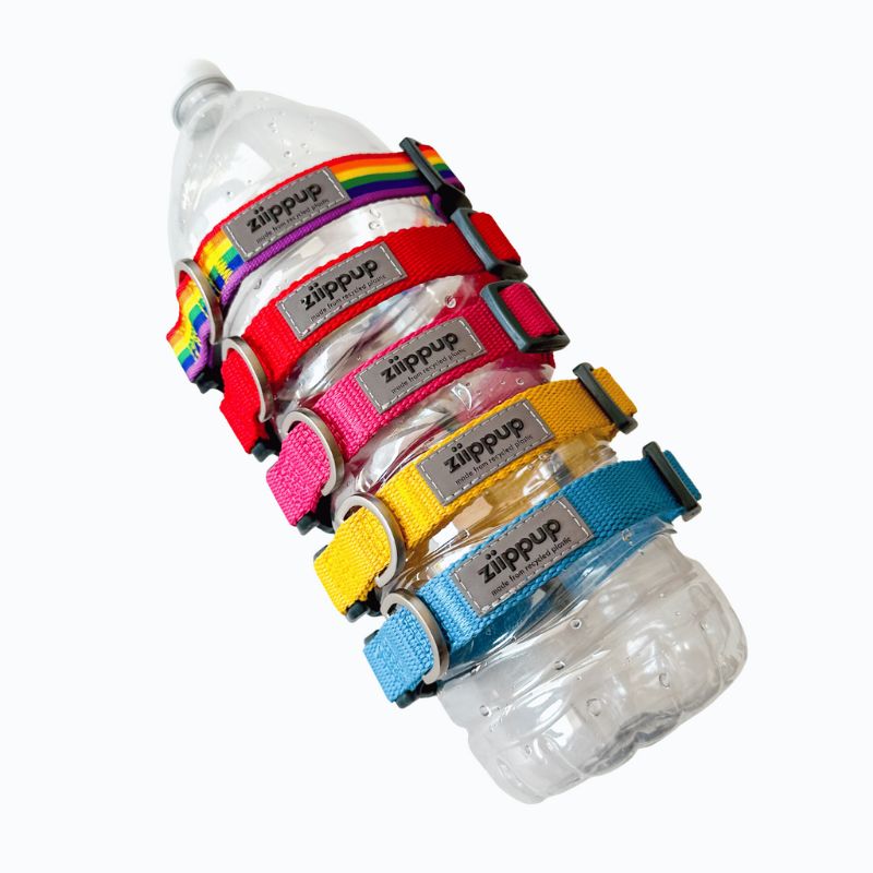 Bright recycled dog collars wrapped around a plastic bottle