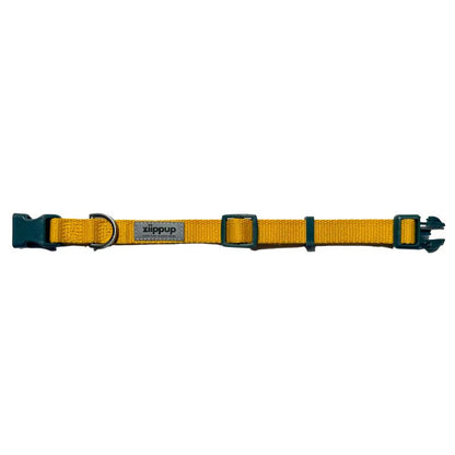 Recycled yellow dog collar