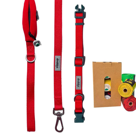 Red dog collar and leash set with compostable poo bags