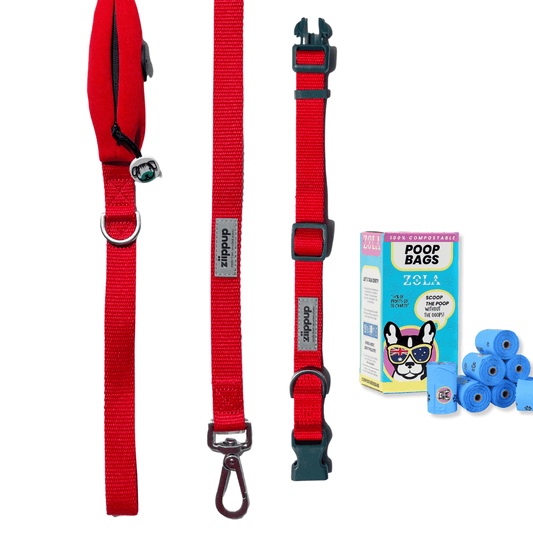 Red dog collar and leash set with a box of dog poop bags on a white background