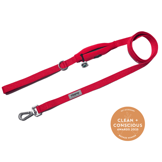 Red leash for dogs, award-winning