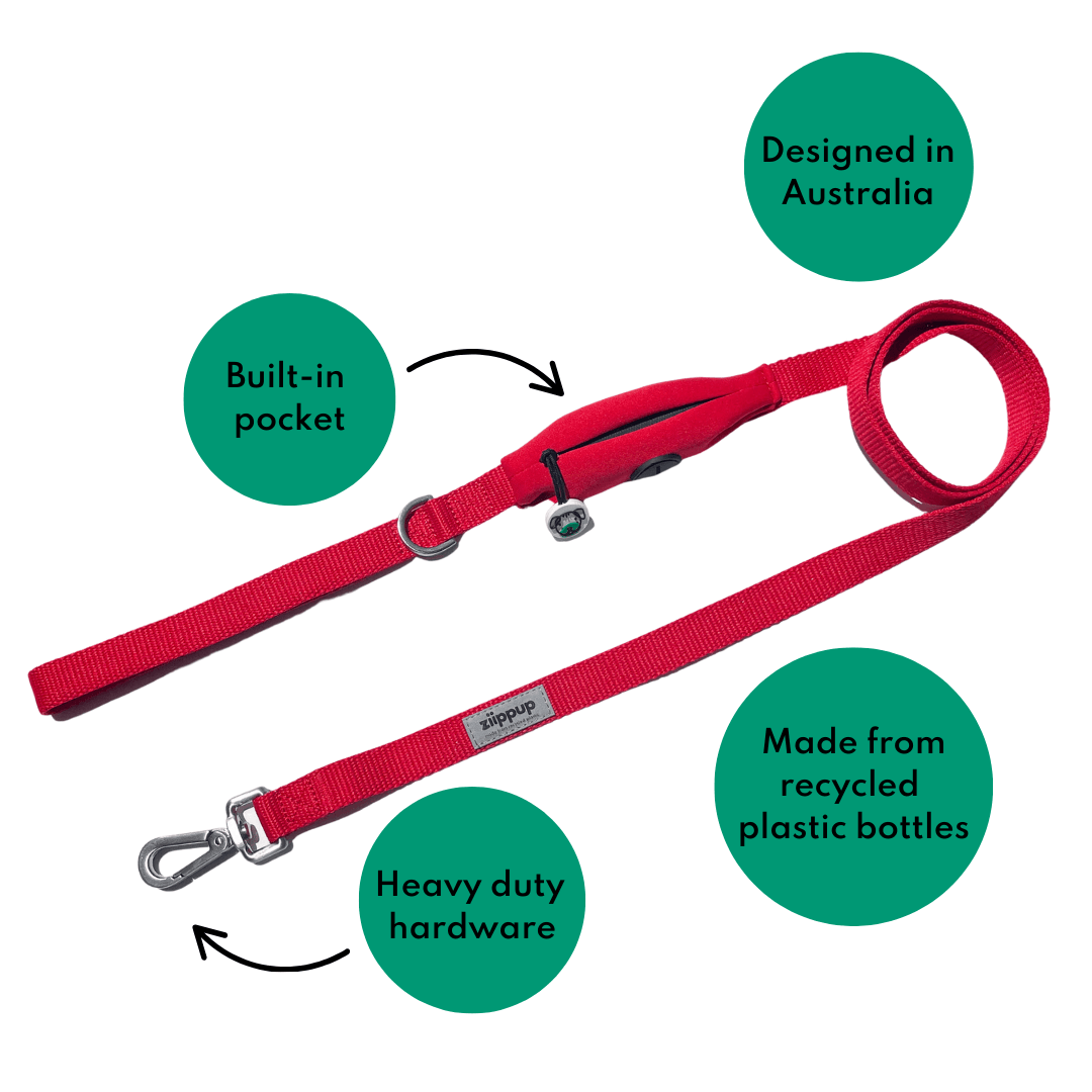 Red Collar & Lead Set