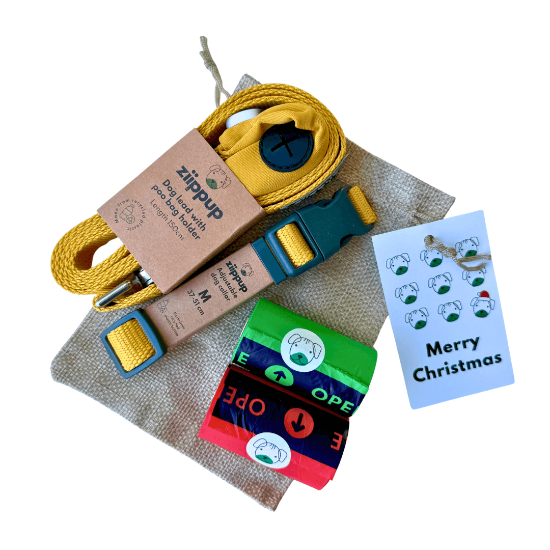 Yellow Christmas Gift Pack