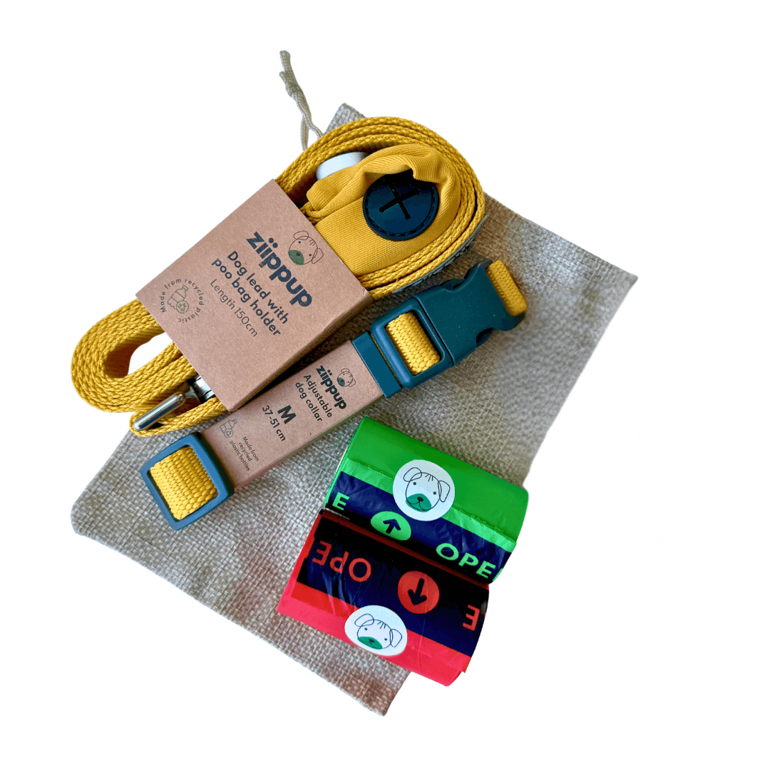 Yellow Dog Gift Pack