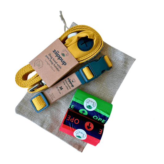 Yellow Dog Gift Pack