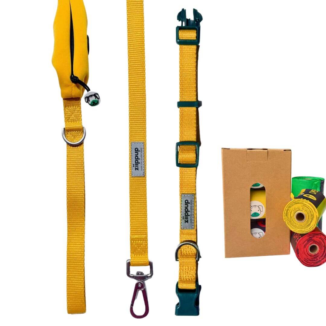 Yellow dog collar and leash set with compostable poo bags