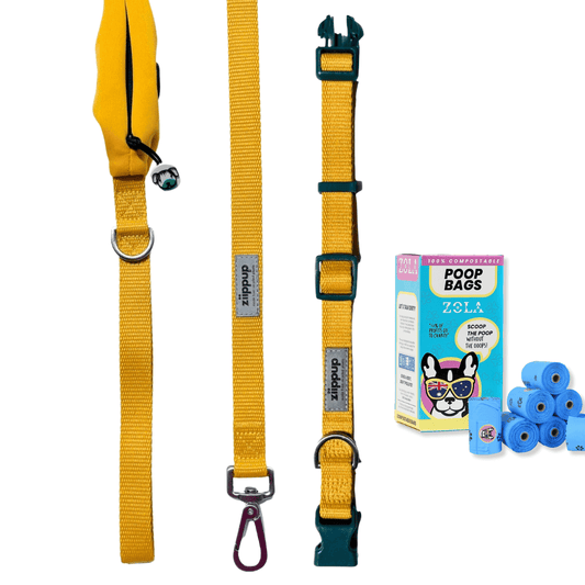 Matching set of yellow dog leash and collar with a box of dog compostable poop bags on a white background