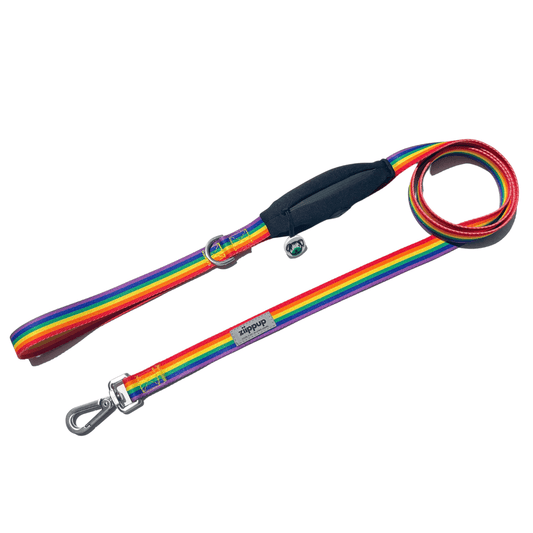 Rainbow dog lead with built-in poop bag holder