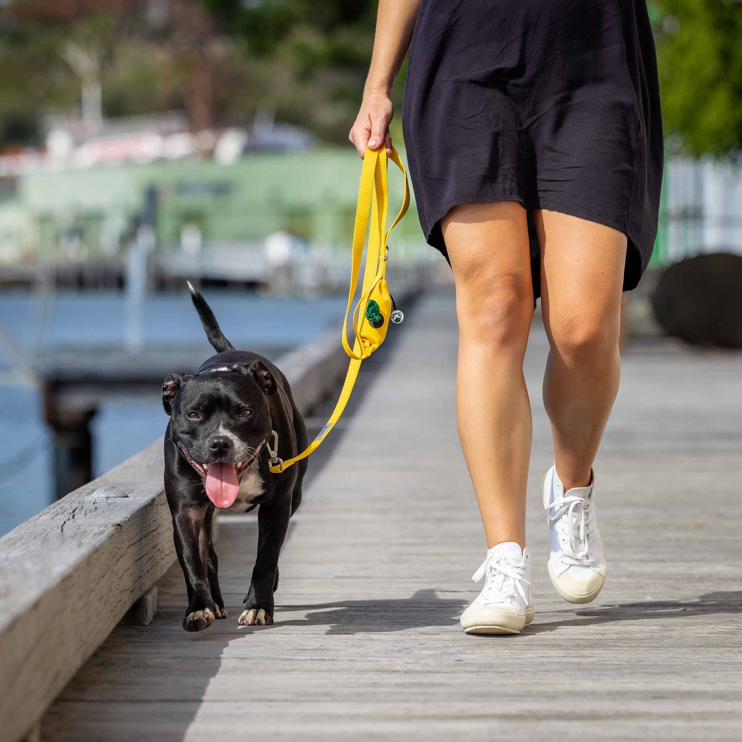 Woman walking black Staffy using yellow dog leash