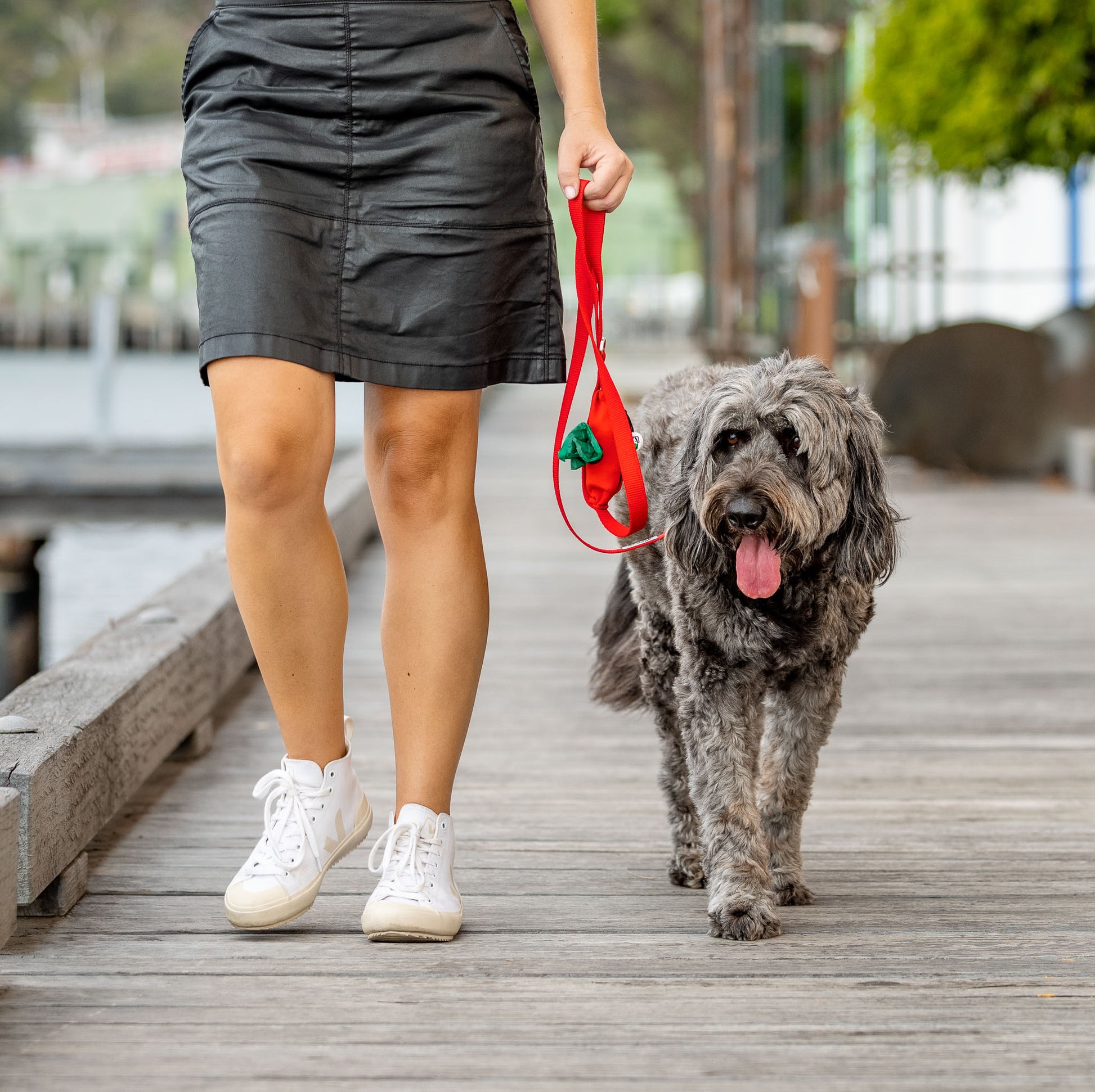 Woman walking Groodle holding red dog lead